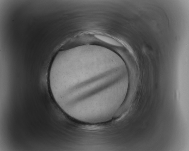 X0000087610389200705251947