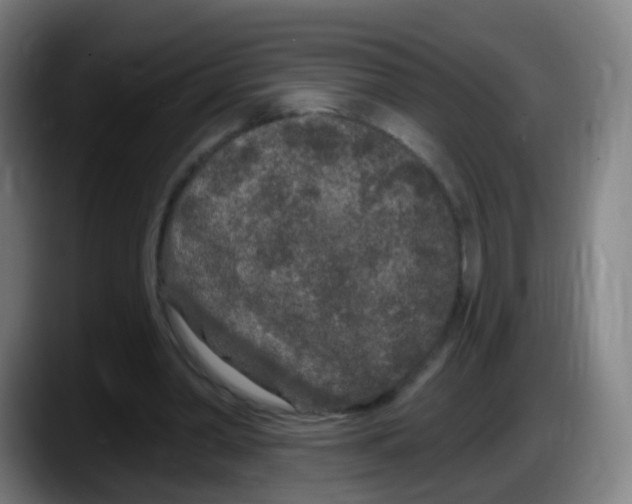 X0000087610390200705251947