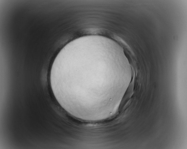 X0000087610394200705251947