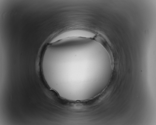 X0000087610395200705251947