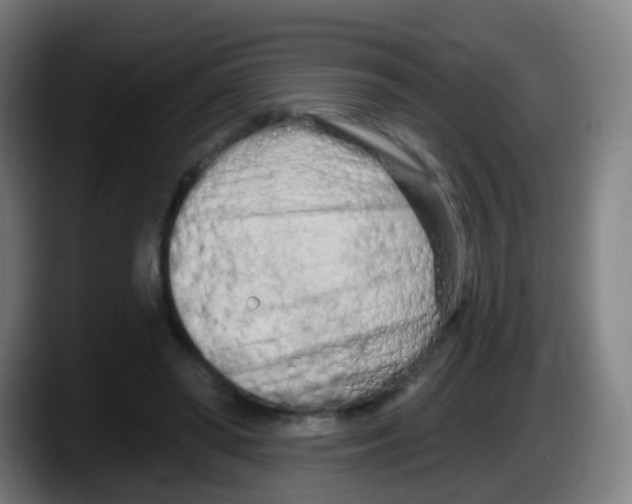 X0000087610398200705251947