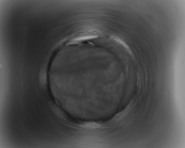 X0000087610399200705251947