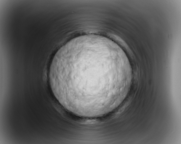 X0000087610401200705251946