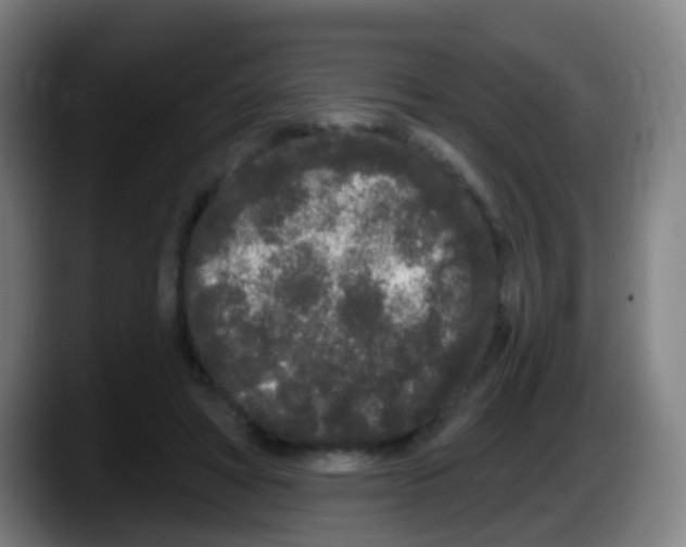 X0000087610402200705251946