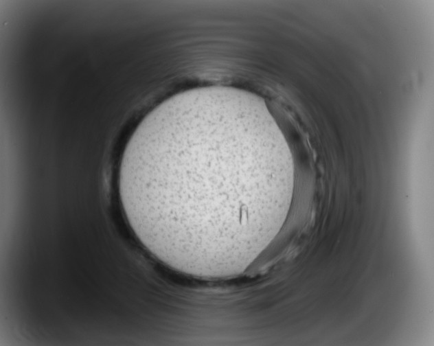 X0000087610404200705251946