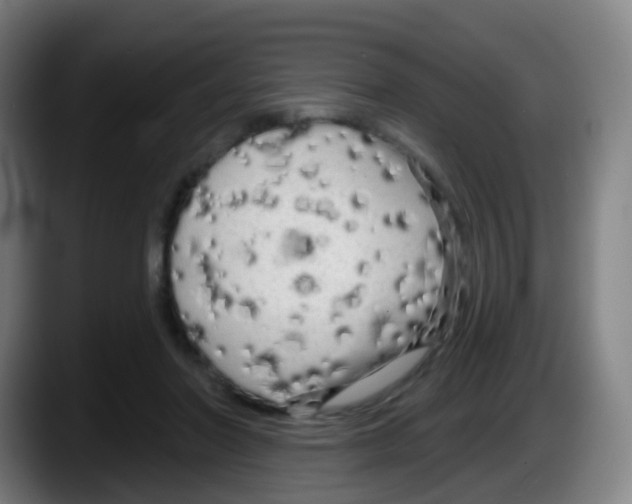 X0000087610406200705251946