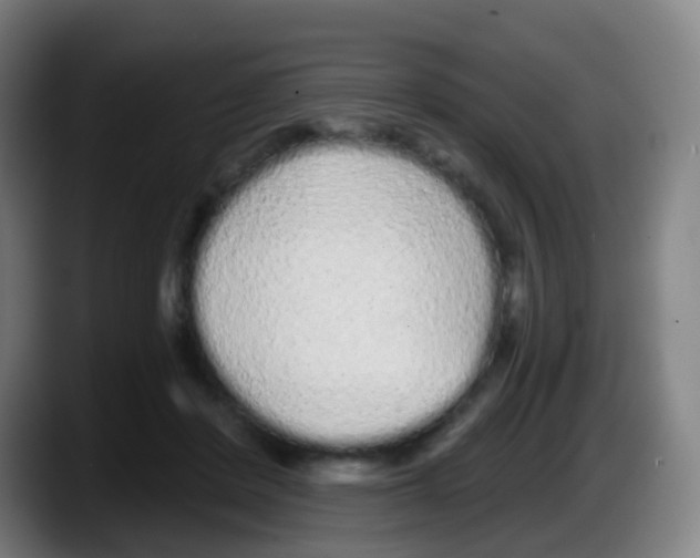 X0000087610408200705251946