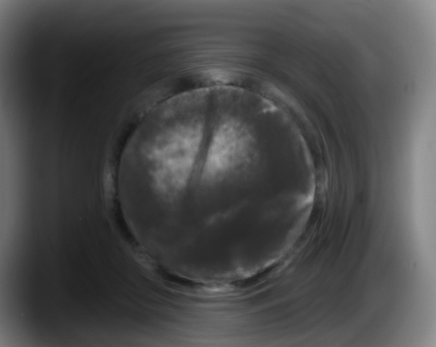 X0000087610410200705251946