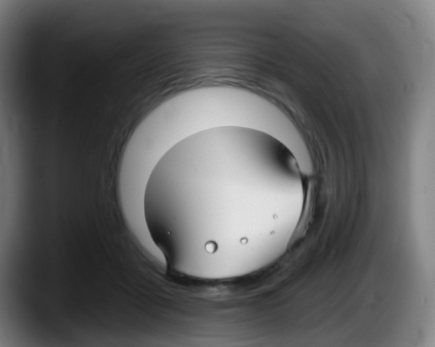 X0000087610411200705251946