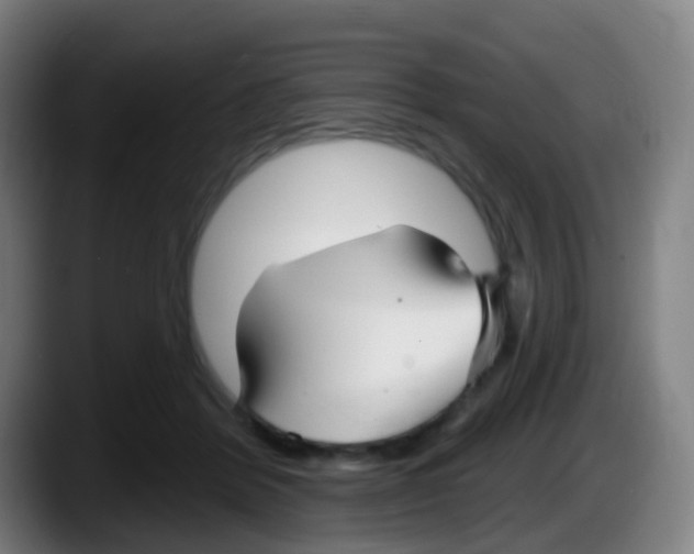 X0000087610412200705251946