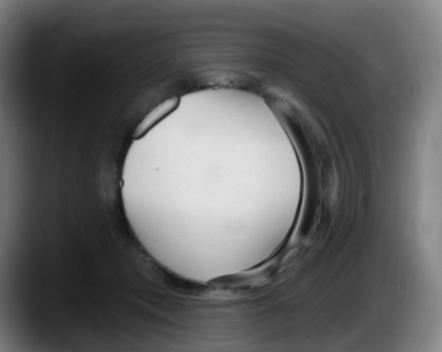 X0000087610413200705251946