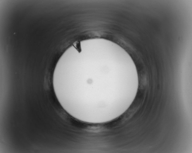 X0000087610414200705251946