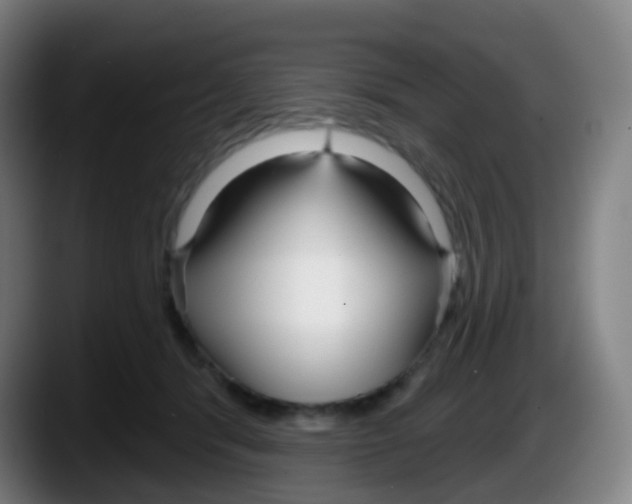 X0000087610416200705251946