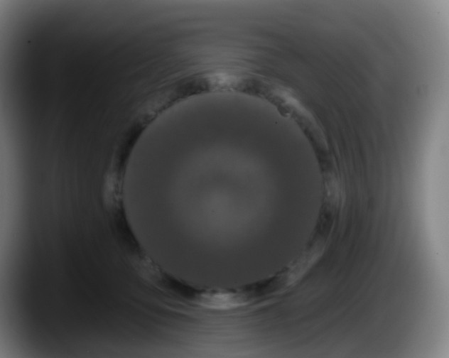 X0000087610419200705251946