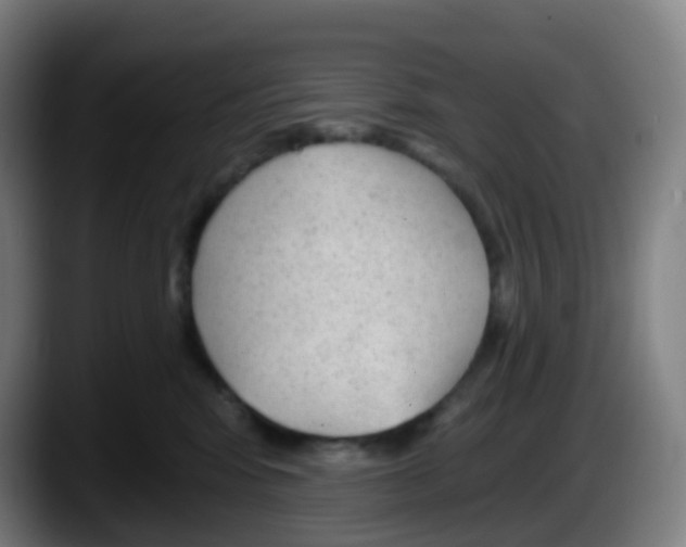 X0000087610424200705251946