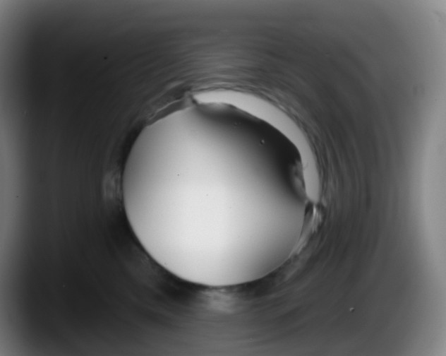 X0000087610425200705251946