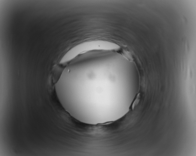 X0000087610428200705251946