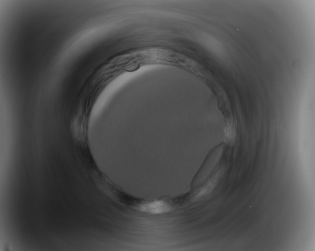 X0000087610431200705251946