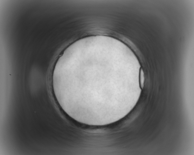 X0000087610433200705251945