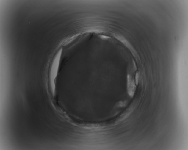 X0000087610434200705251945