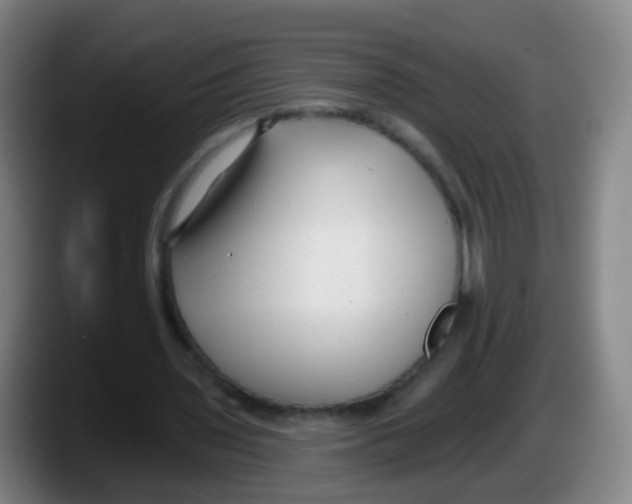 X0000087610435200705251945