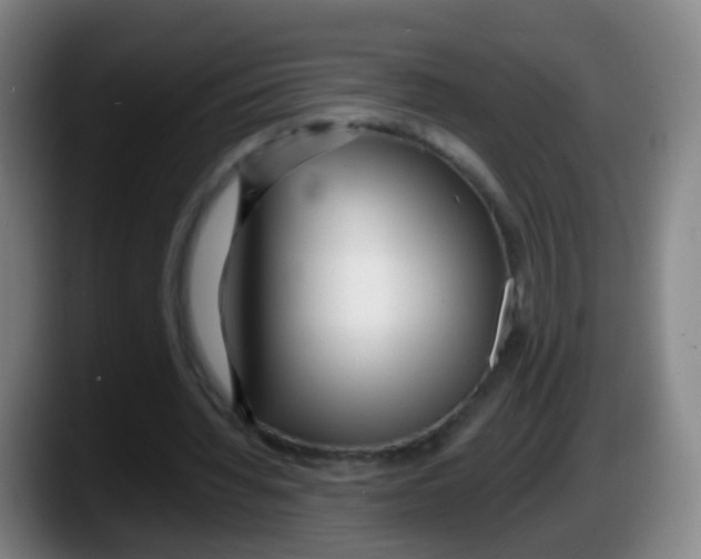 X0000087610436200705251945