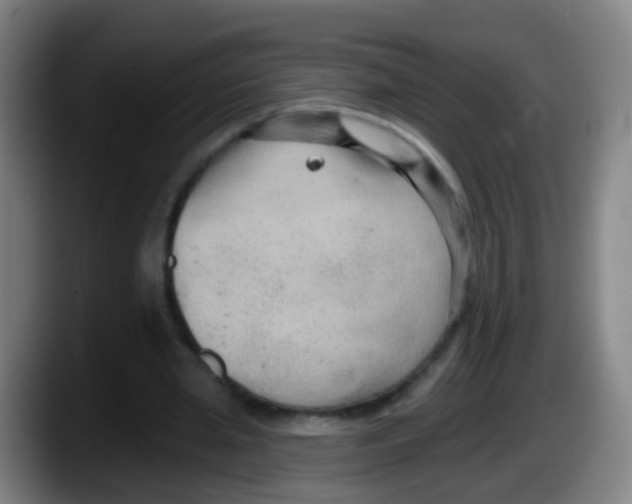 X0000087610437200705251946