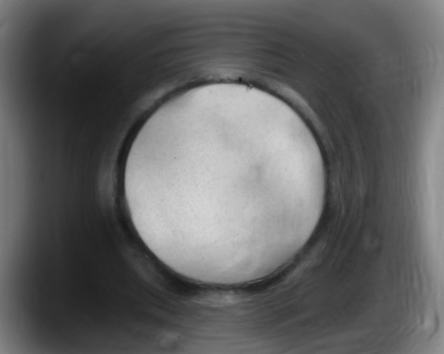 X0000087610439200705251946