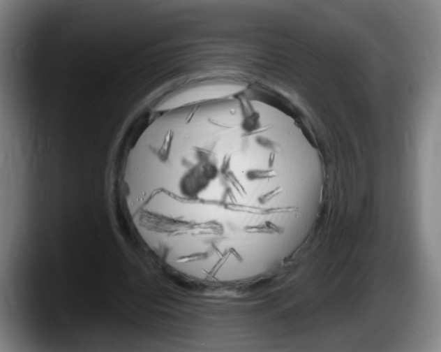 X0000087610440200705251946