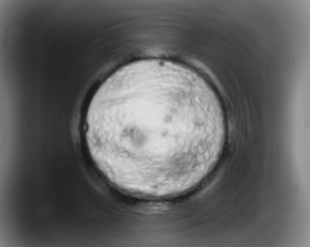 X0000087610443200705251946