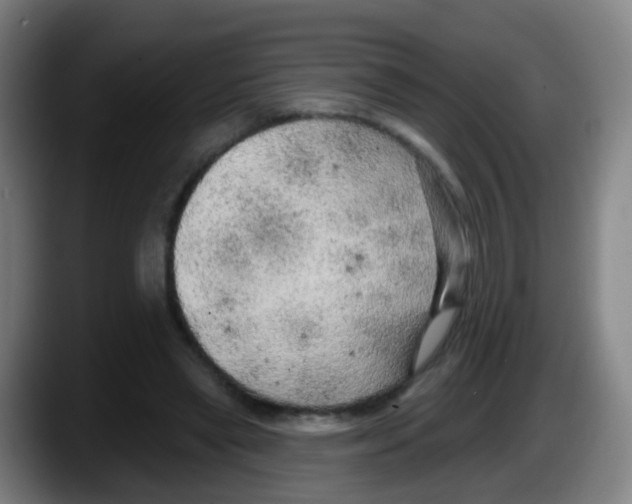 X0000087610445200705251946