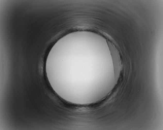 X0000087610446200705251946