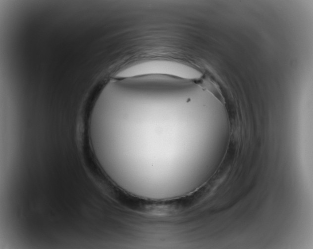 X0000087610448200705251946