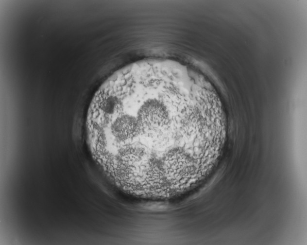 X0000087610449200705251946