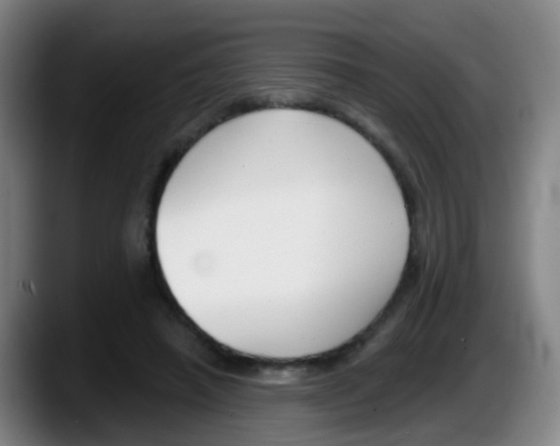 X0000087610450200705251946