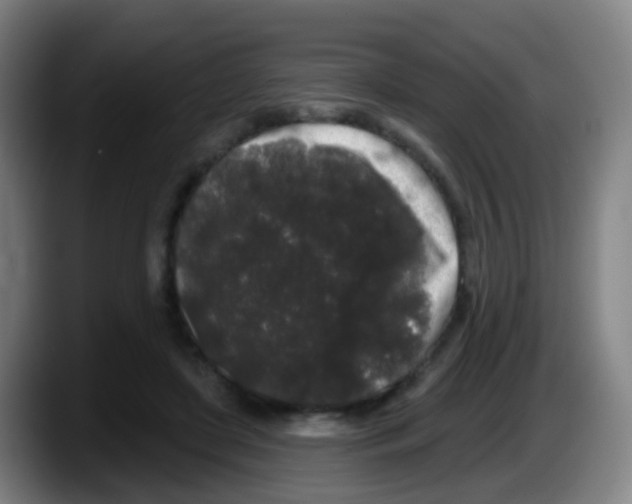 X0000087610451200705251946