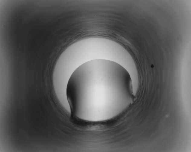 X0000087610452200705251946