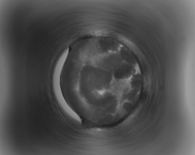 X0000087610453200705251946