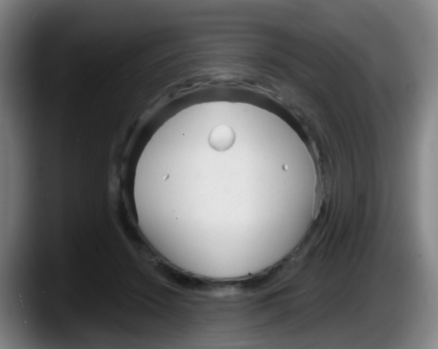 X0000087610456200705251946