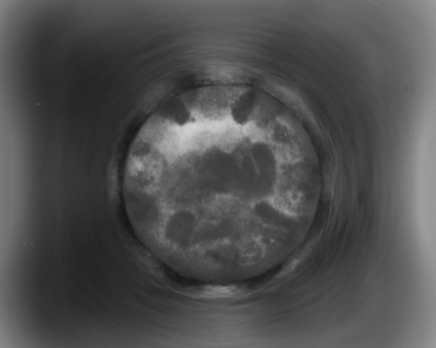 X0000087610457200705251946