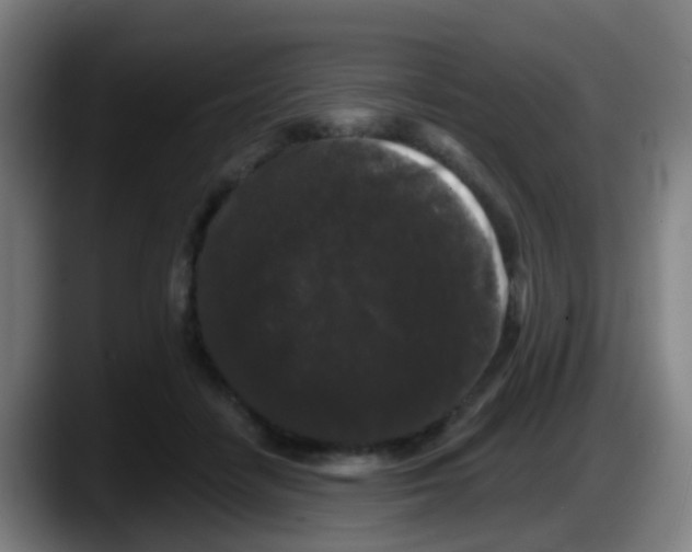 X0000087610458200705251946