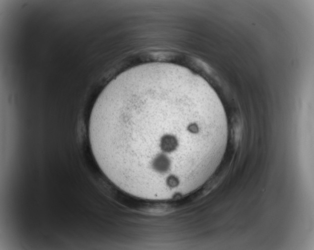 X0000087610459200705251946