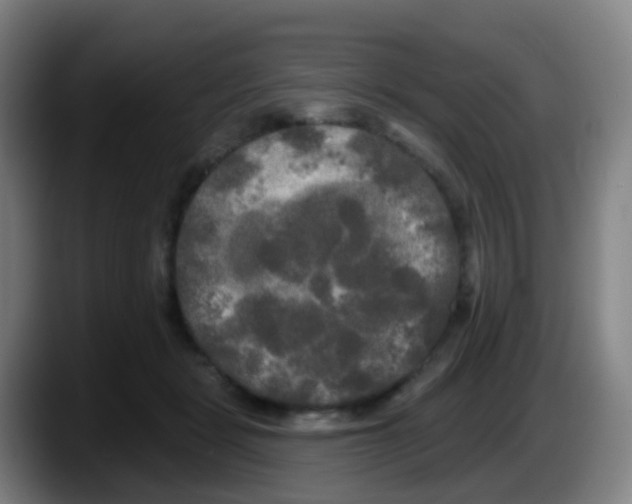 X0000087610461200705251946