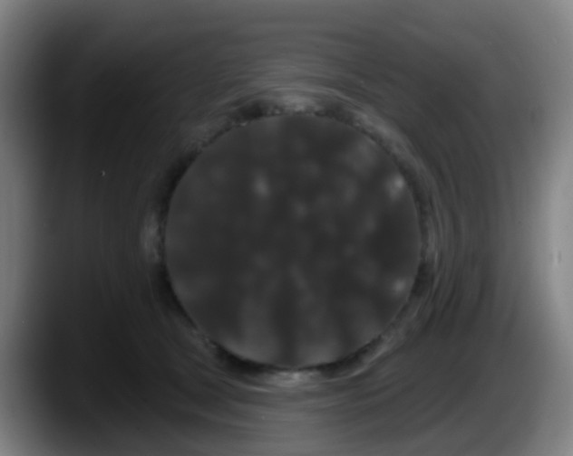 X0000087610465200705251946