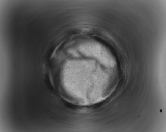 X0000087610467200705251946