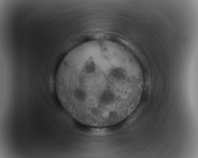 X0000087610469200705251946