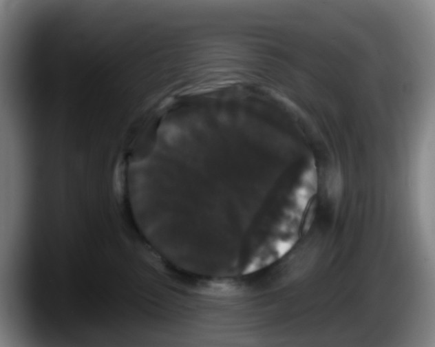 X0000087610475200705251946