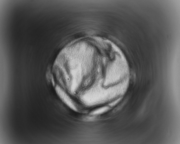 X0000087610479200705251946