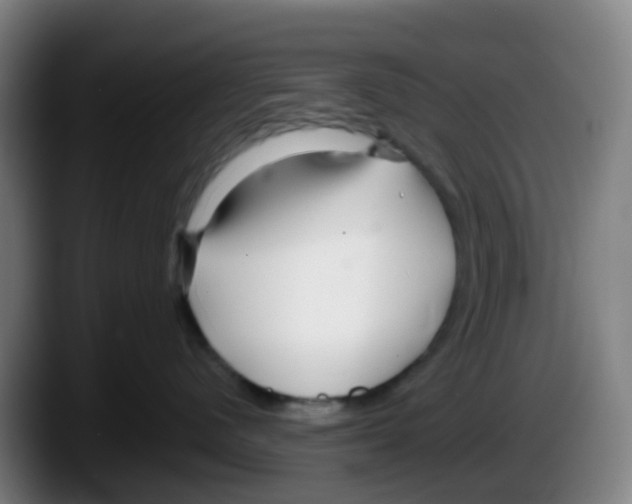 X0000087610480200705251946