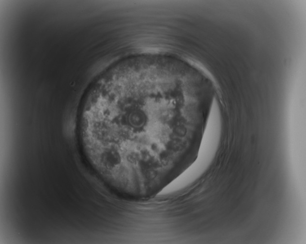 X0000087610483200705251945